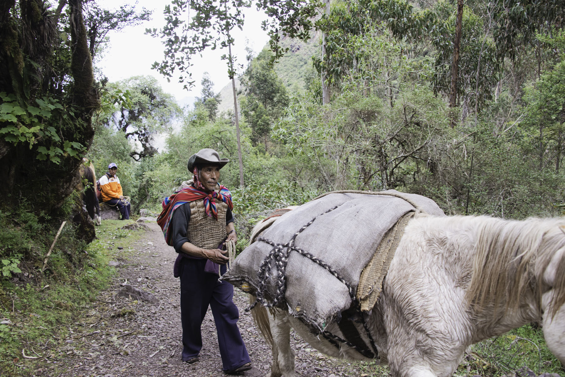 341-Peru-5-15_web.jpg