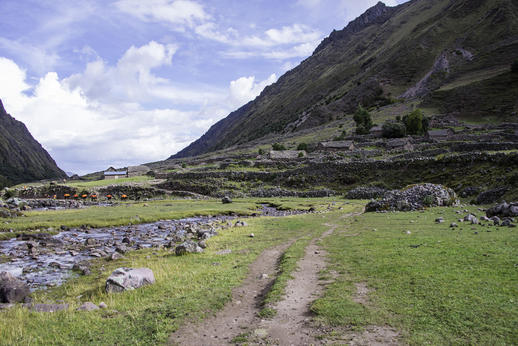 383-Peru-5-15_web.jpg