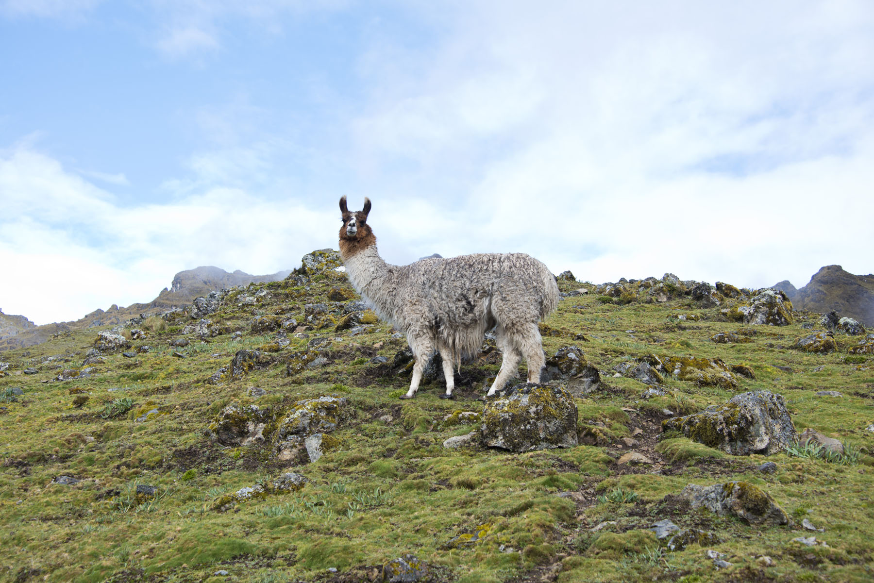 185-Peru-5-15_web_web.jpg