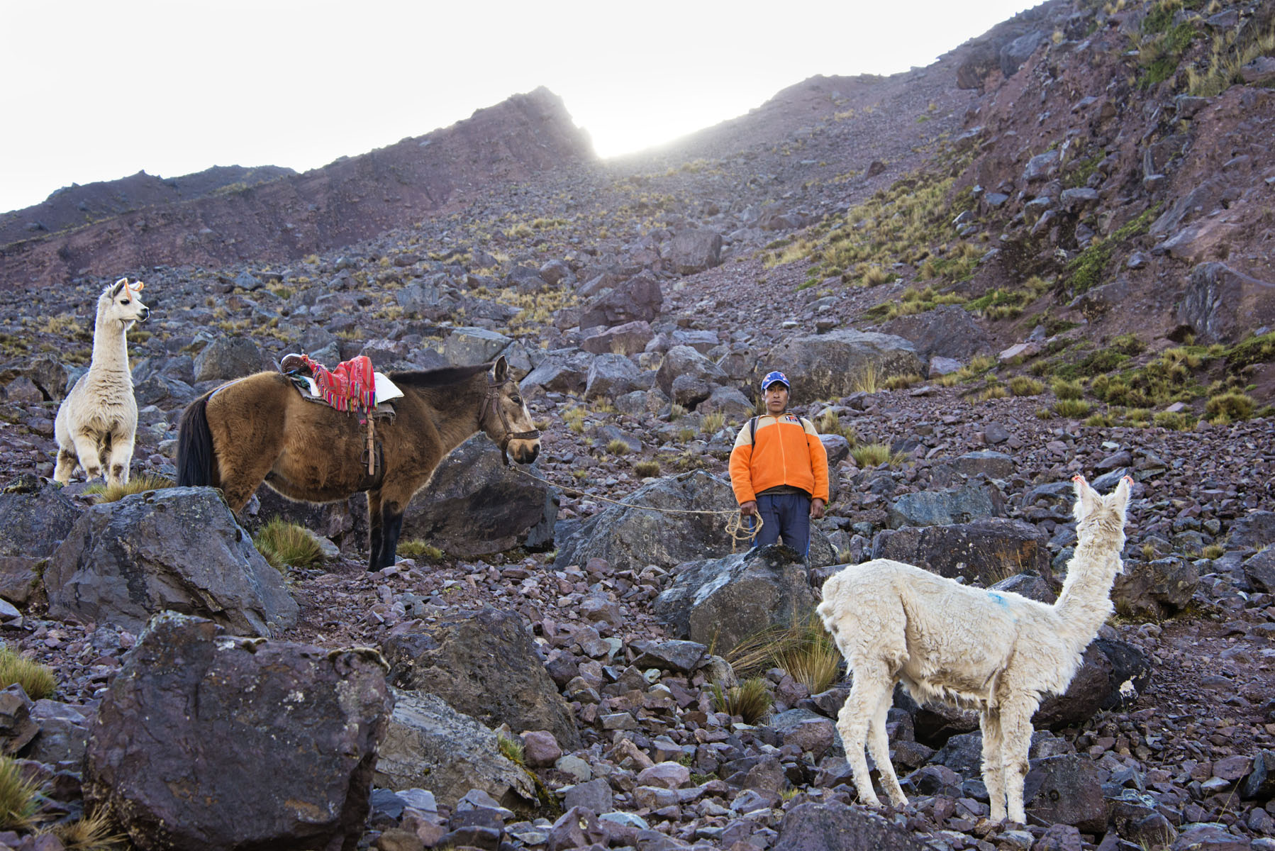 223-Peru-5-15_web.jpg