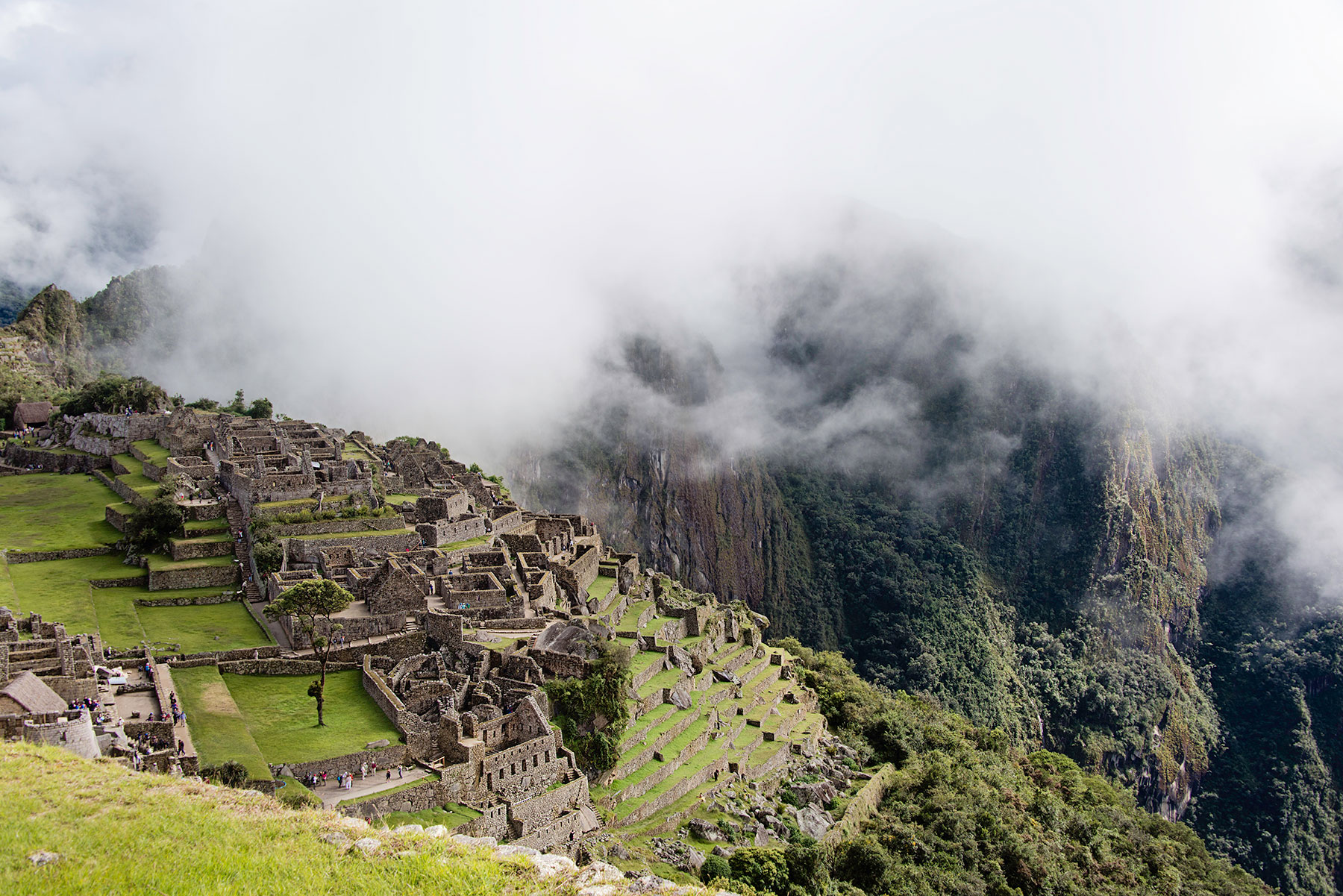 Overview of Machu Picchu city in the clouds