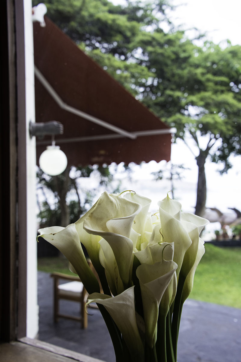 Cala Lilies in the Window at Lima Hotel Second Home Peru