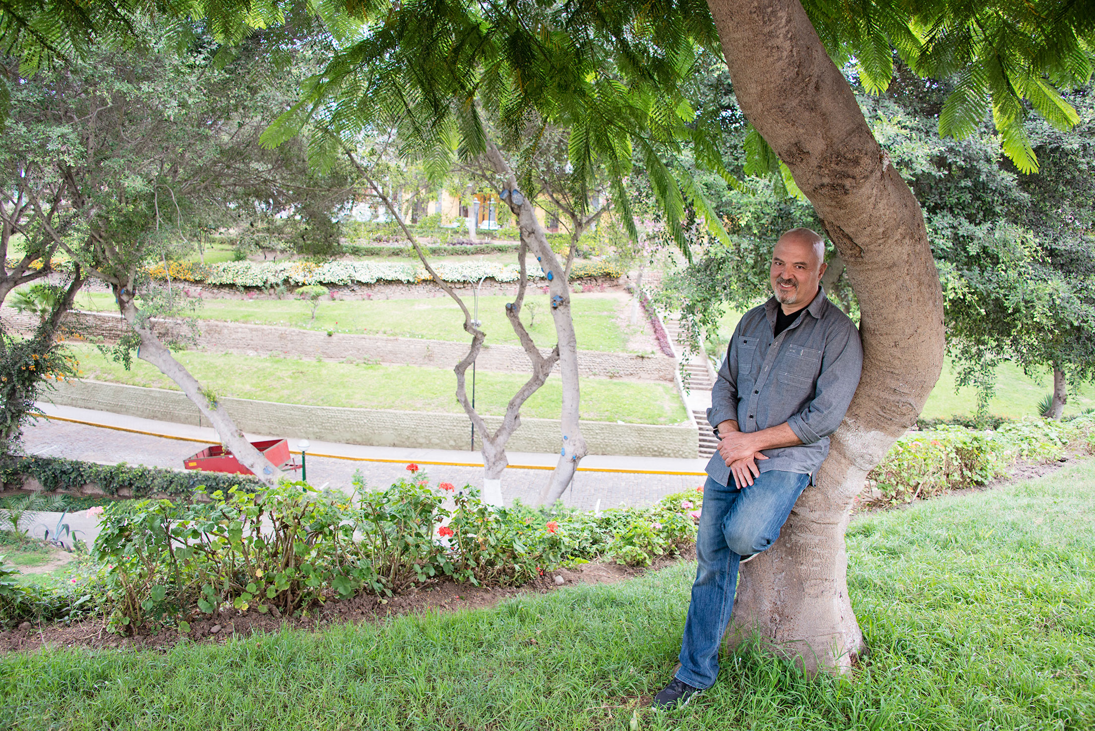 Fabio Resting on a Tree in a Park in Miraflores Lima Peru