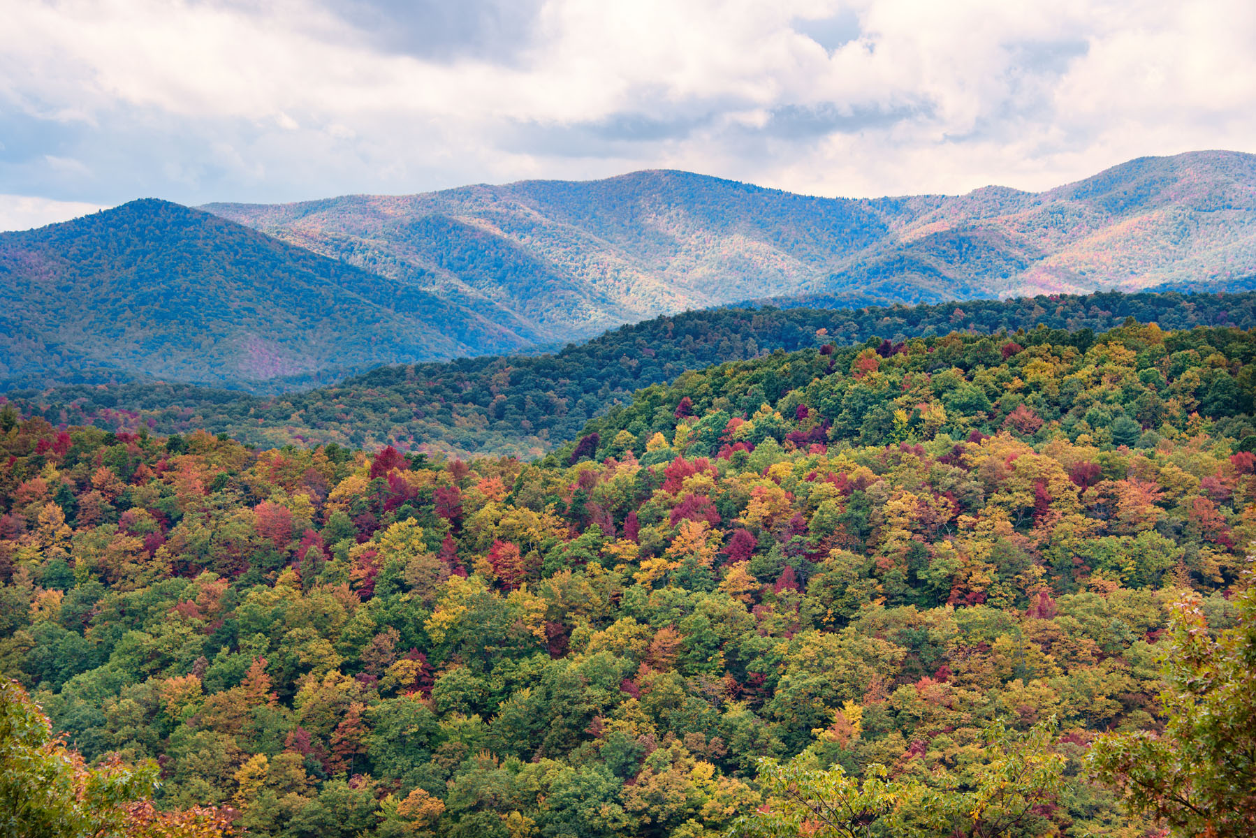 Fall Foliage in Smoky Mountains on Blue Ridge Parkway
