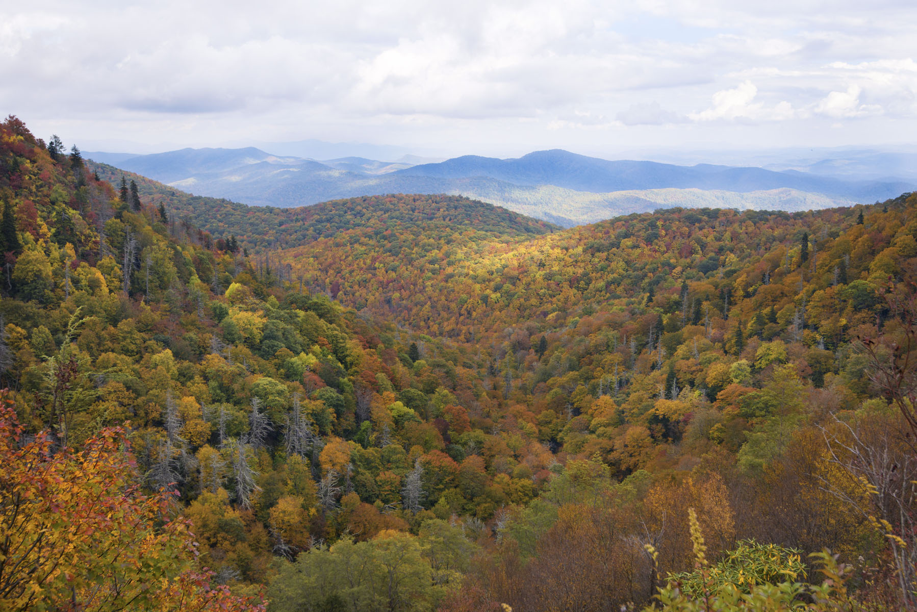 Colorful Fall Foliage in Smoky Mountains on Asheville Blue Ridge Parkway