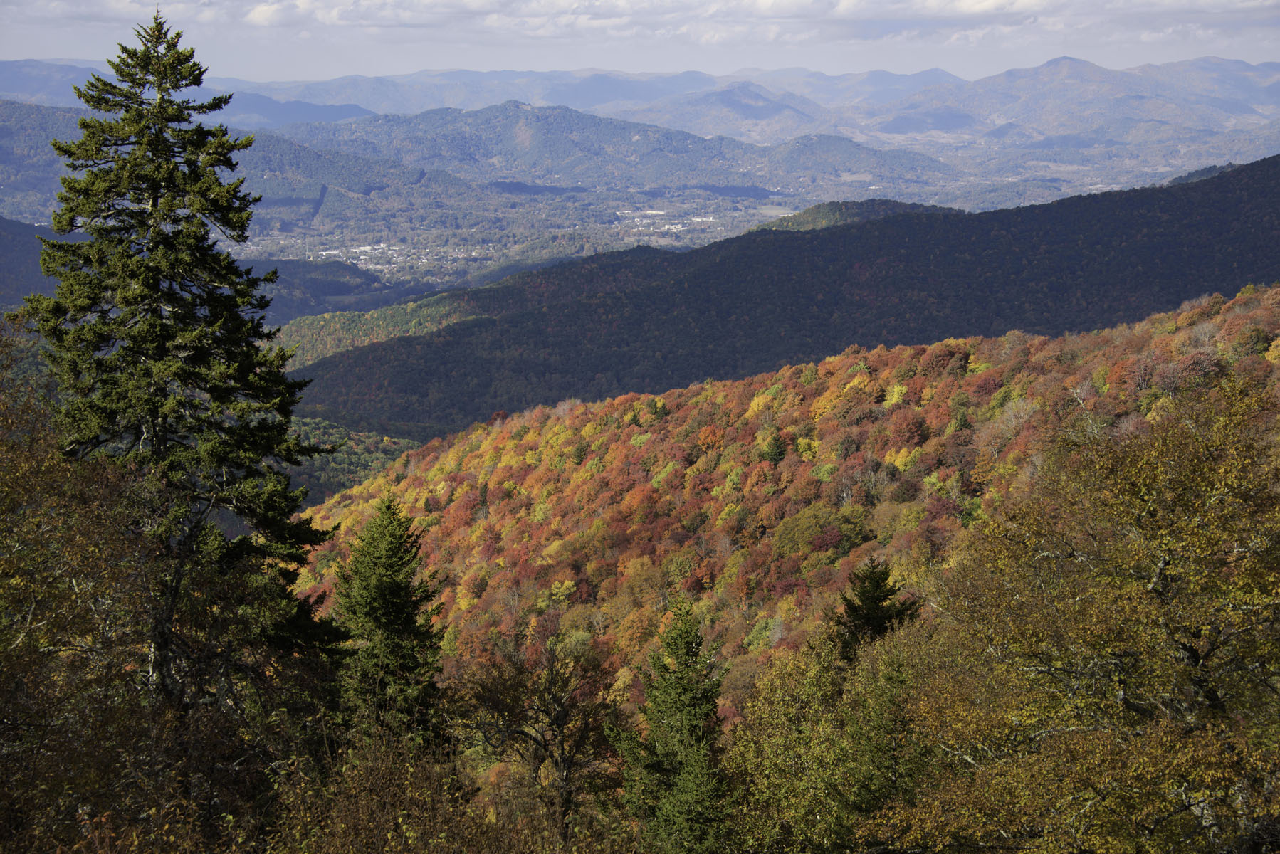 Sunlight on Fall Foliage in Smoky Mountains on Blue Ridge Parkway