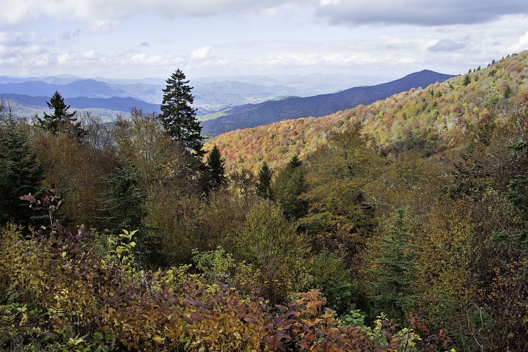 Fall Foliage Landscape in Smoky Mountains on Blue Ridge Parkway