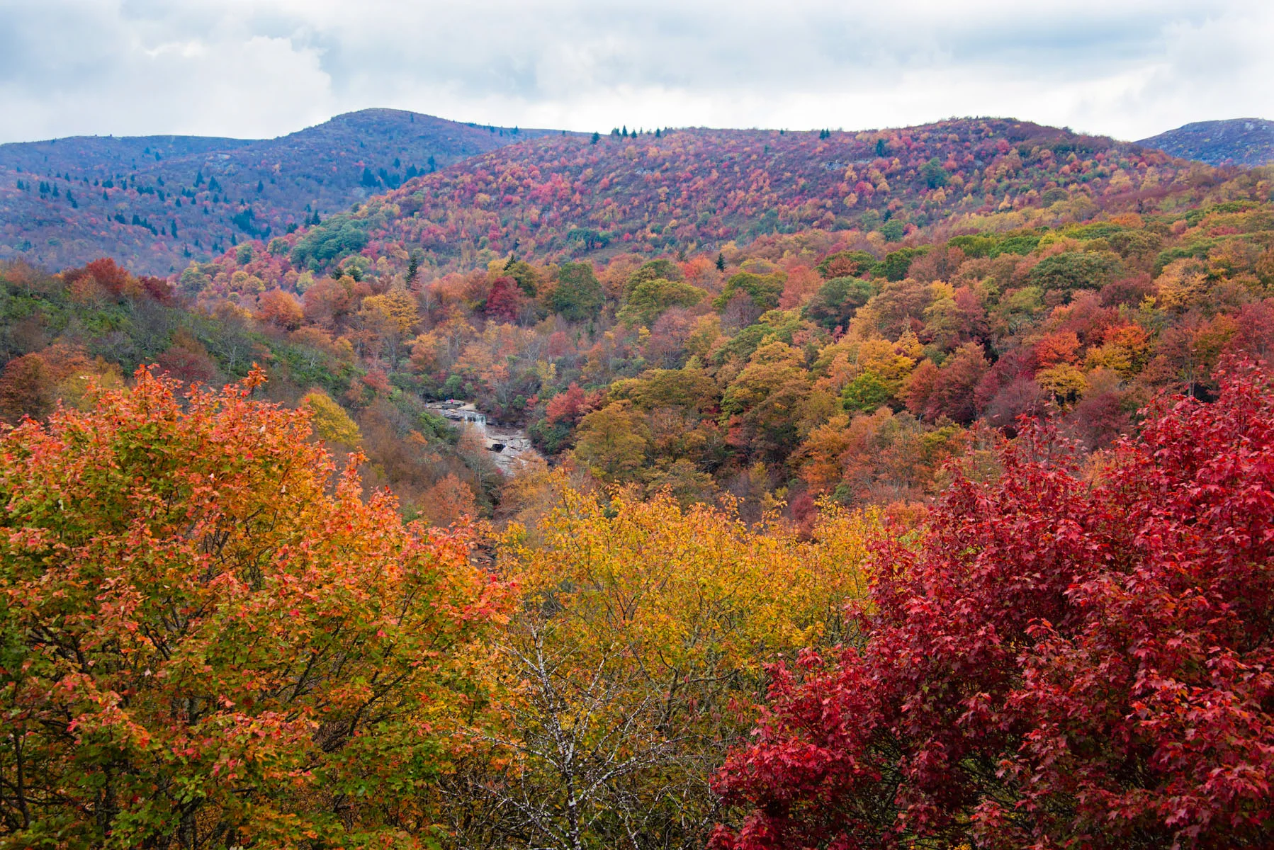 Multi-Colored Fall Foliage Escape 