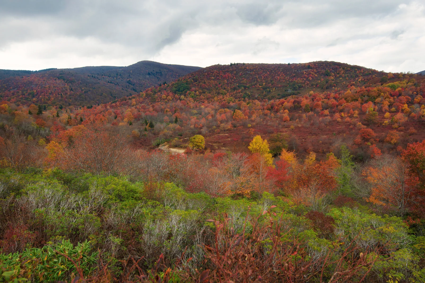 Graveyard Fields on Fire
