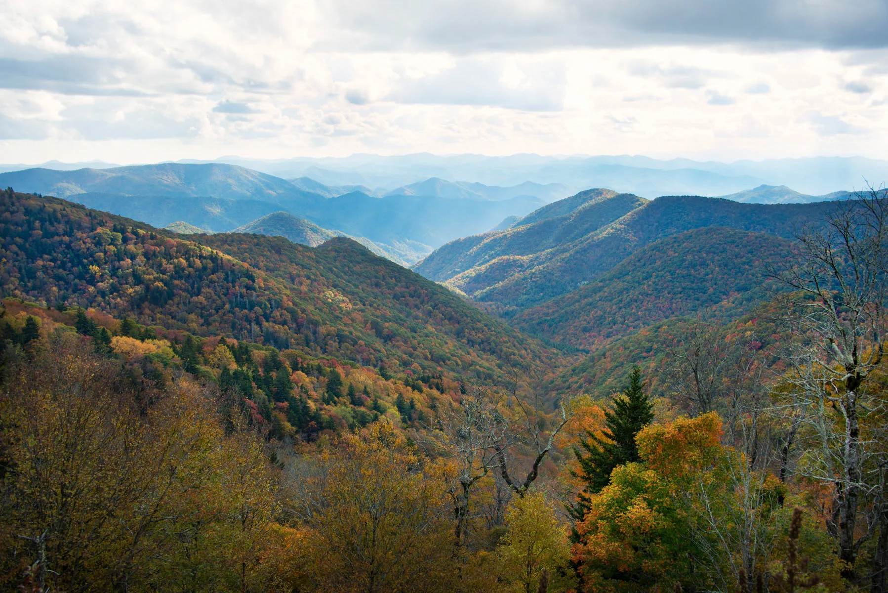Fall Foliage in the Mountains