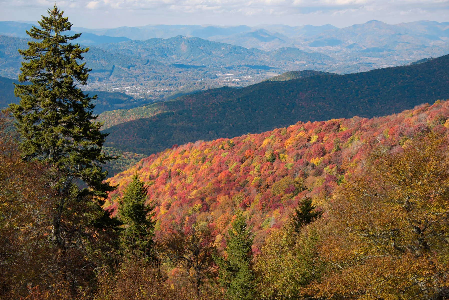 Brilliant Smoky Mountain Fall Landscape