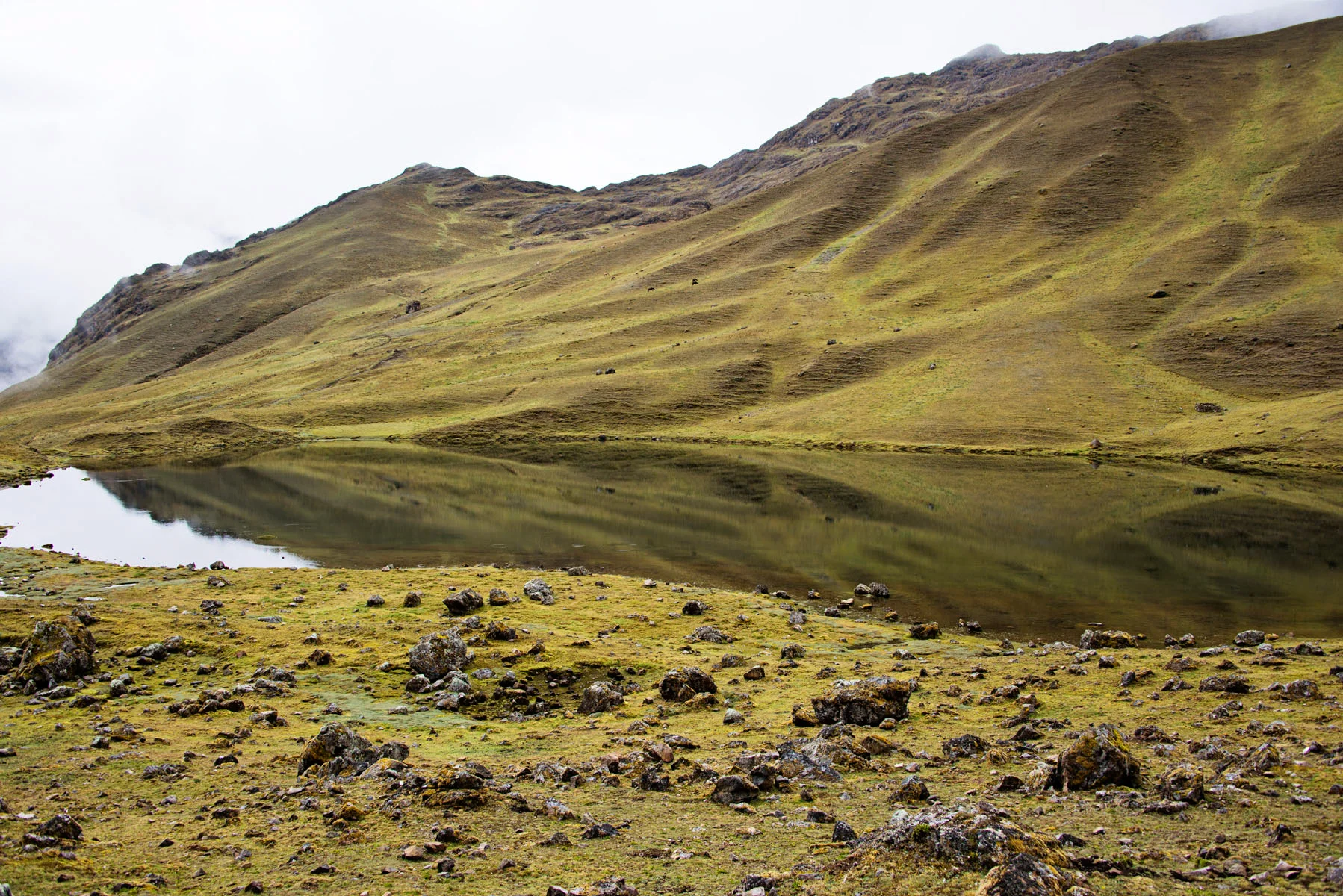 Green Mountain Reflections