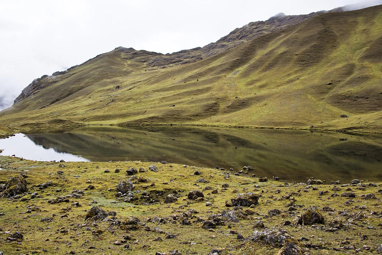 Green Mountains Reflection in Lake Peru