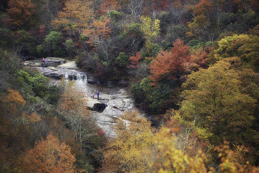 Fall Foliage by Waterfall