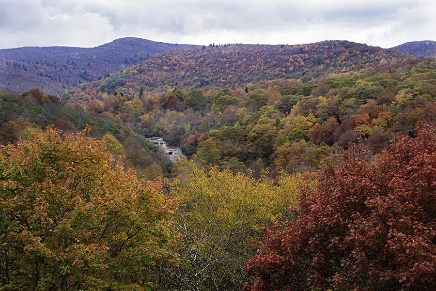Fall Foliage by Waterfall in Smoky Mountains