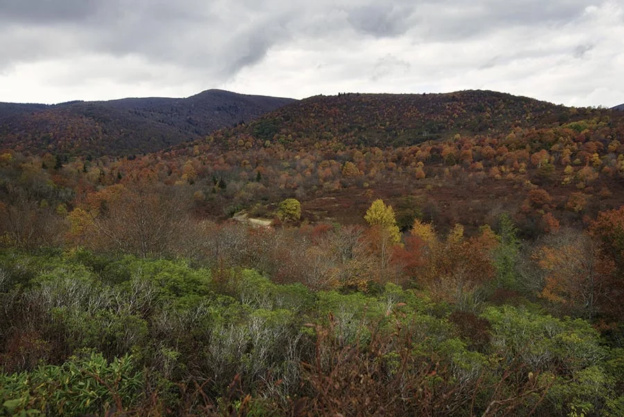 Fall Foliage Blue Ridge Parkway