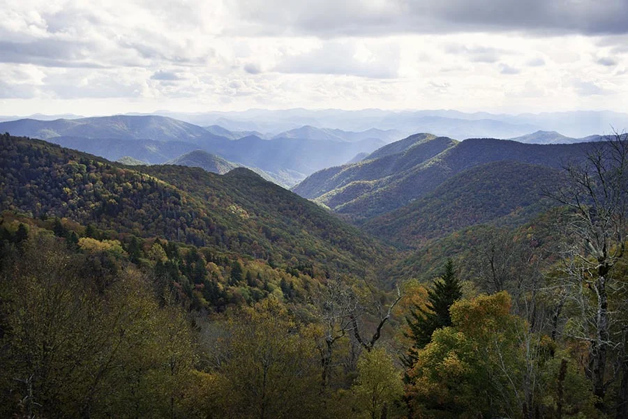 Fall Foliage in the Smoky Mountains