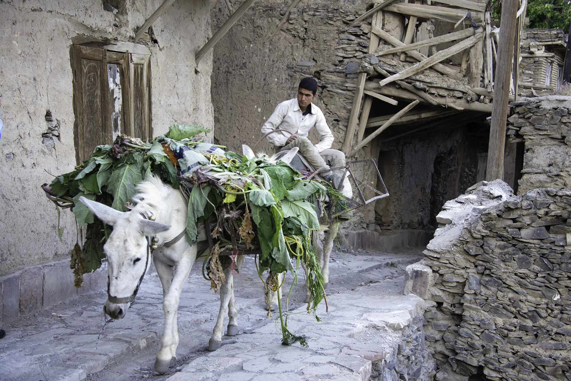 Iranian Man Riding Mule In Village