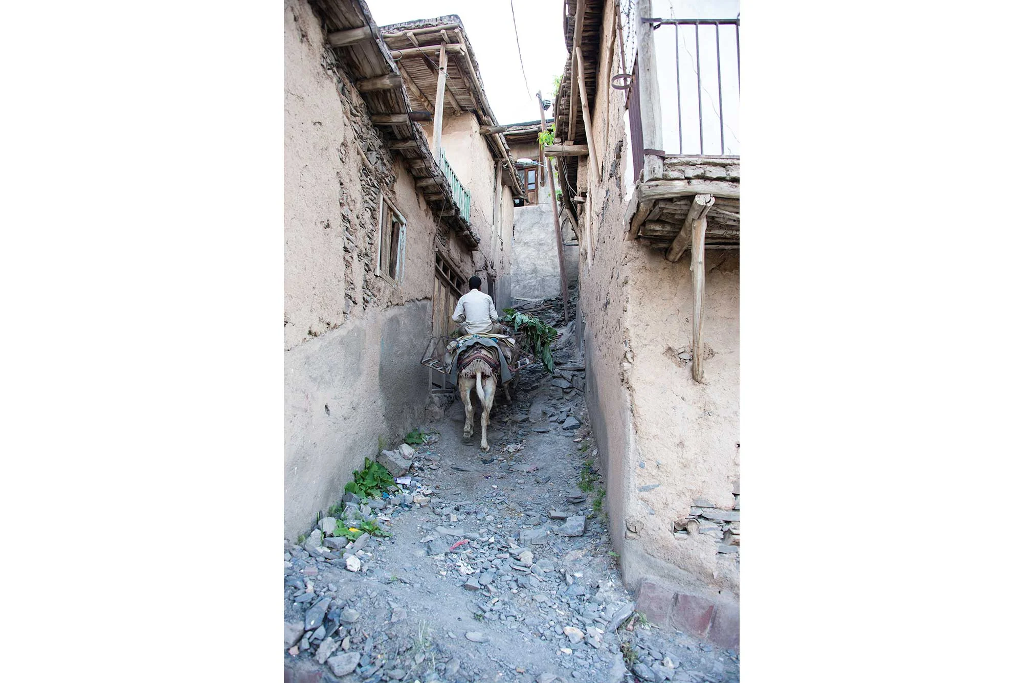 Man Riding Mule Up Village Alley