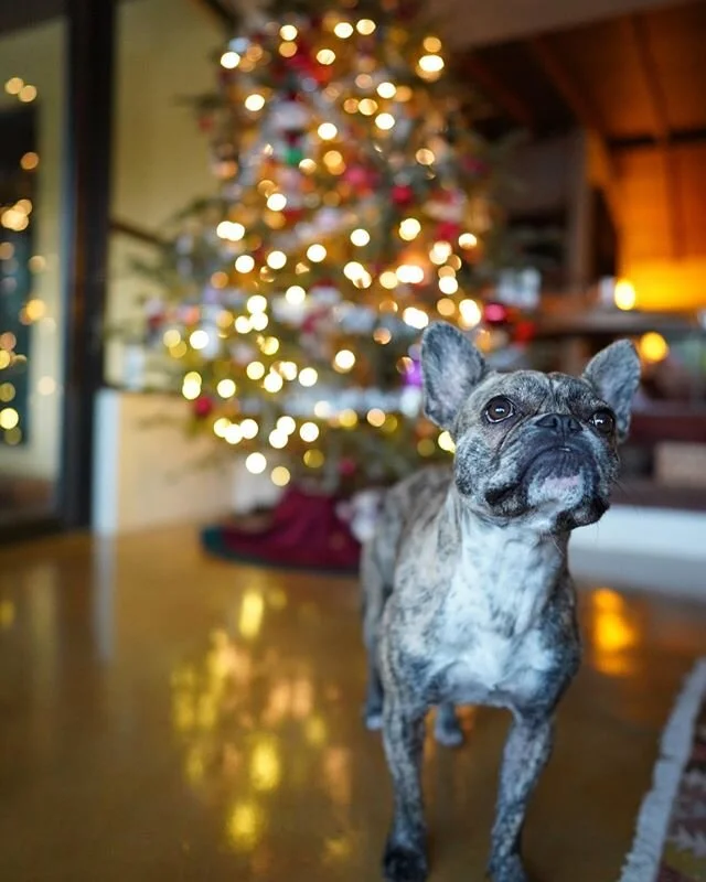 Playing around with our new Sony aiii. #nofilter 💥🔥✨