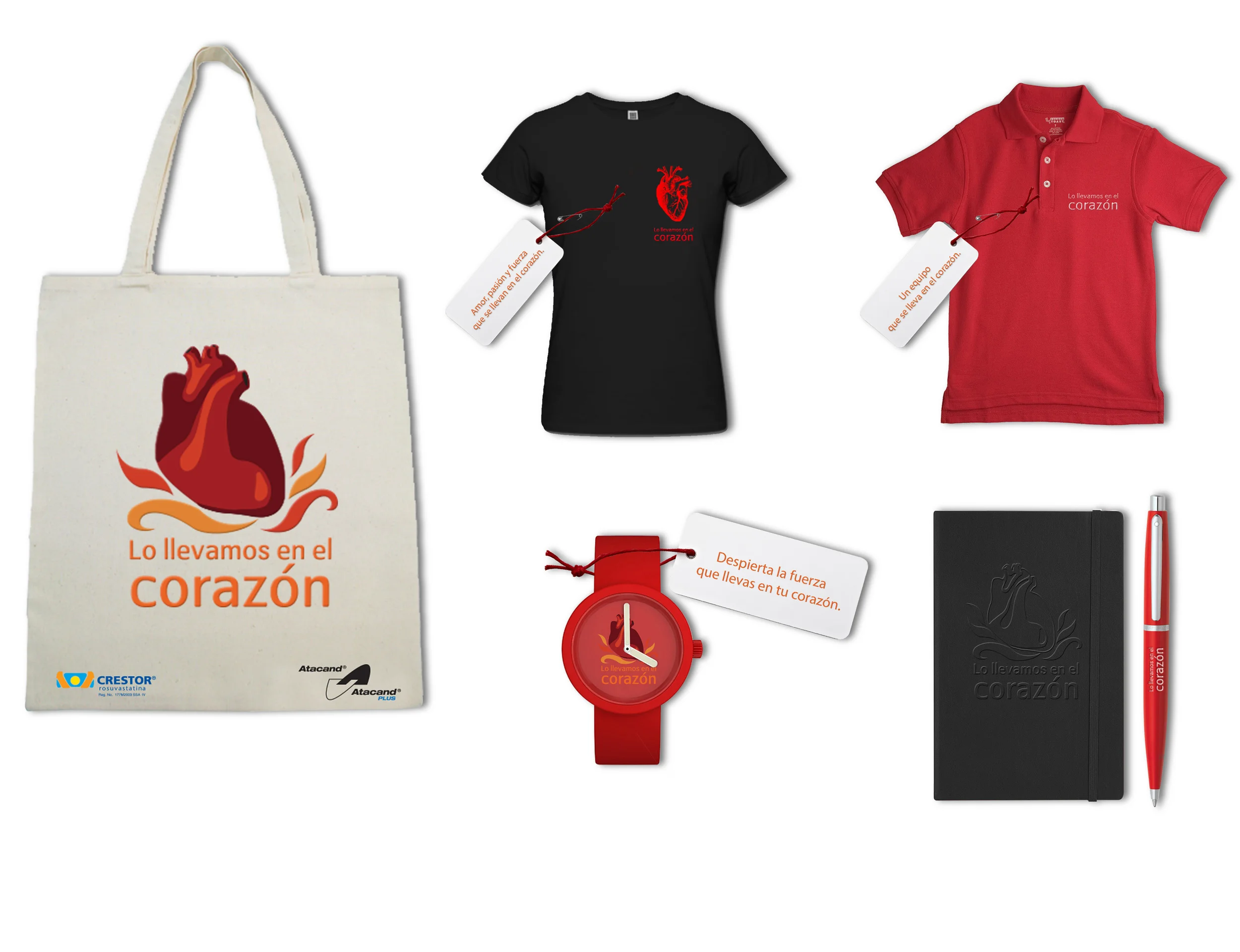 crestor kit.jpg
