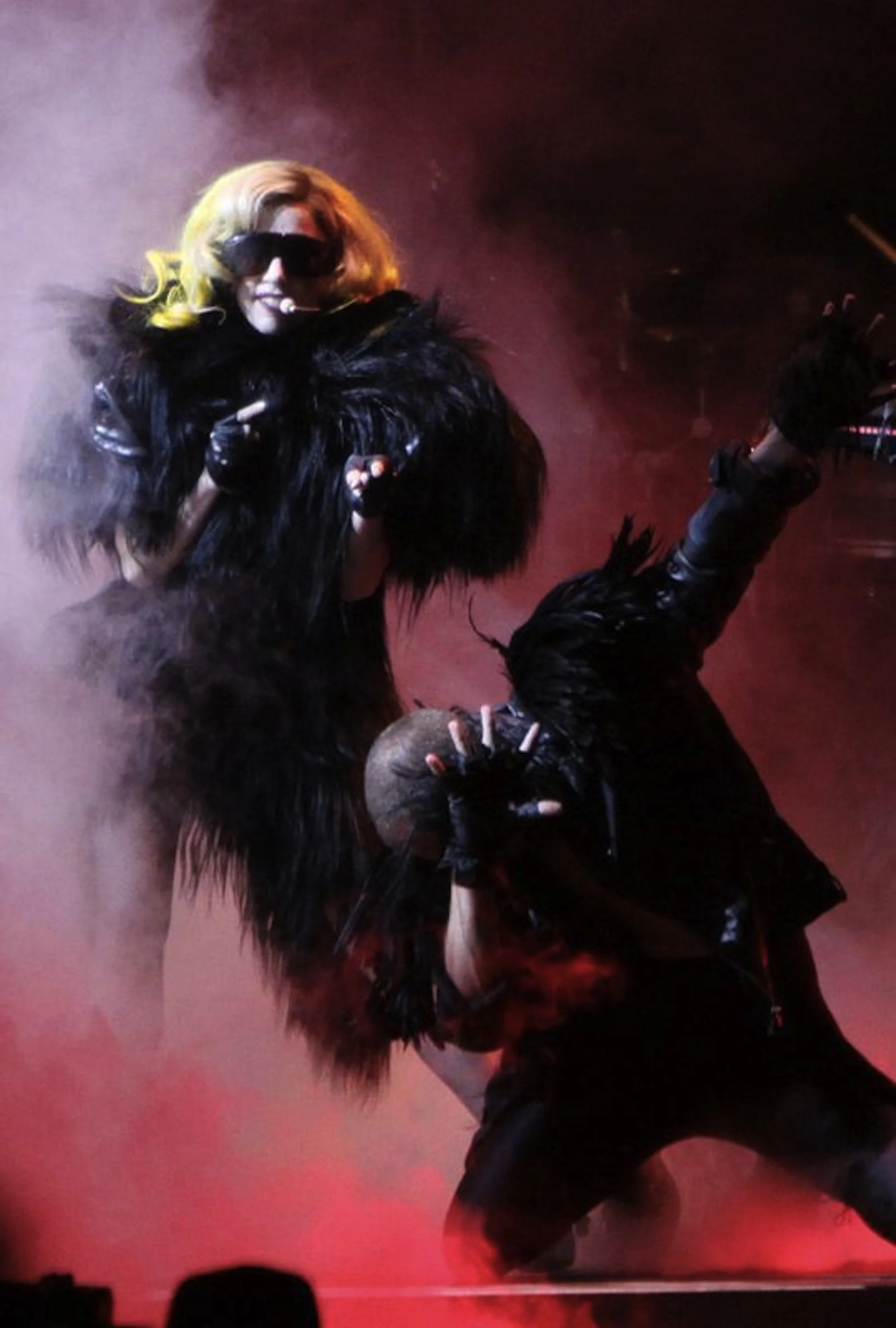 gaga3.jpg