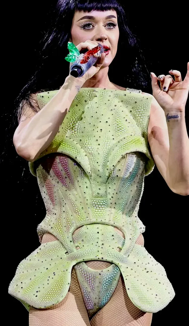 zaldy-katy-perry-the-lifetimes-tour-level-3-1.webp