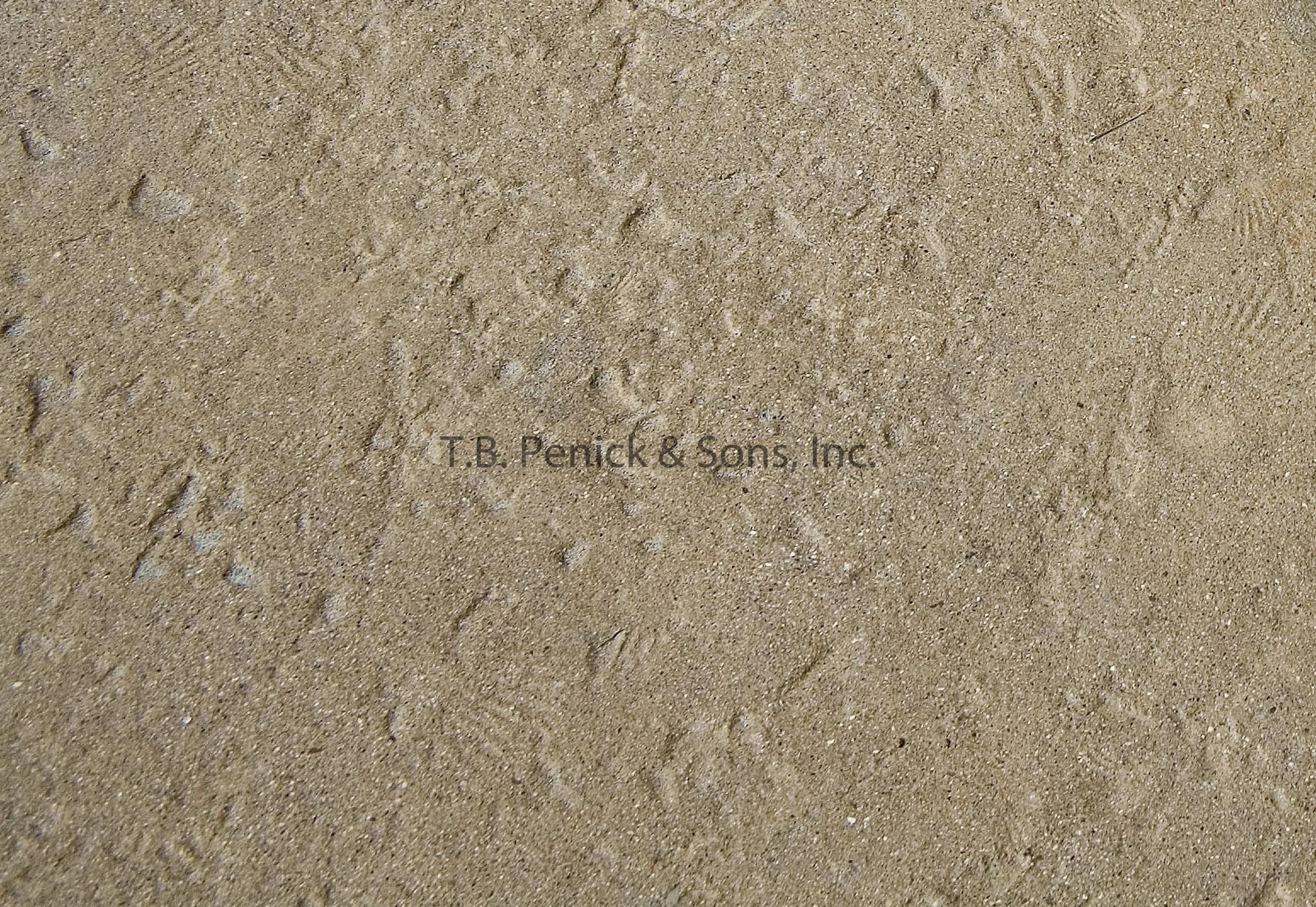 Fletcher Cove Park — T.B. Penick & Sons