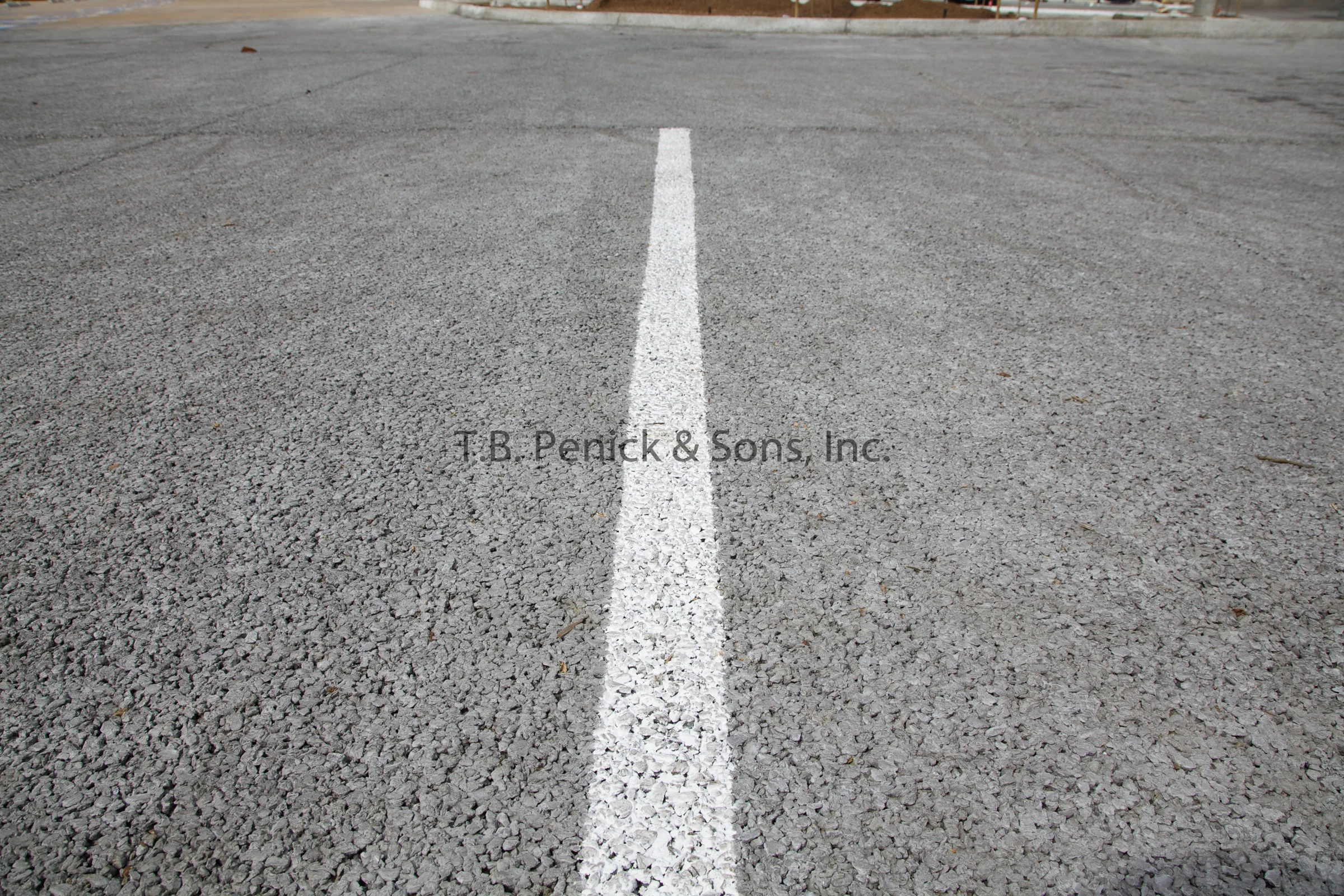 Interstate 805 Direct Access Ramp (DAR)-Gallery — T.B. Penick & Sons