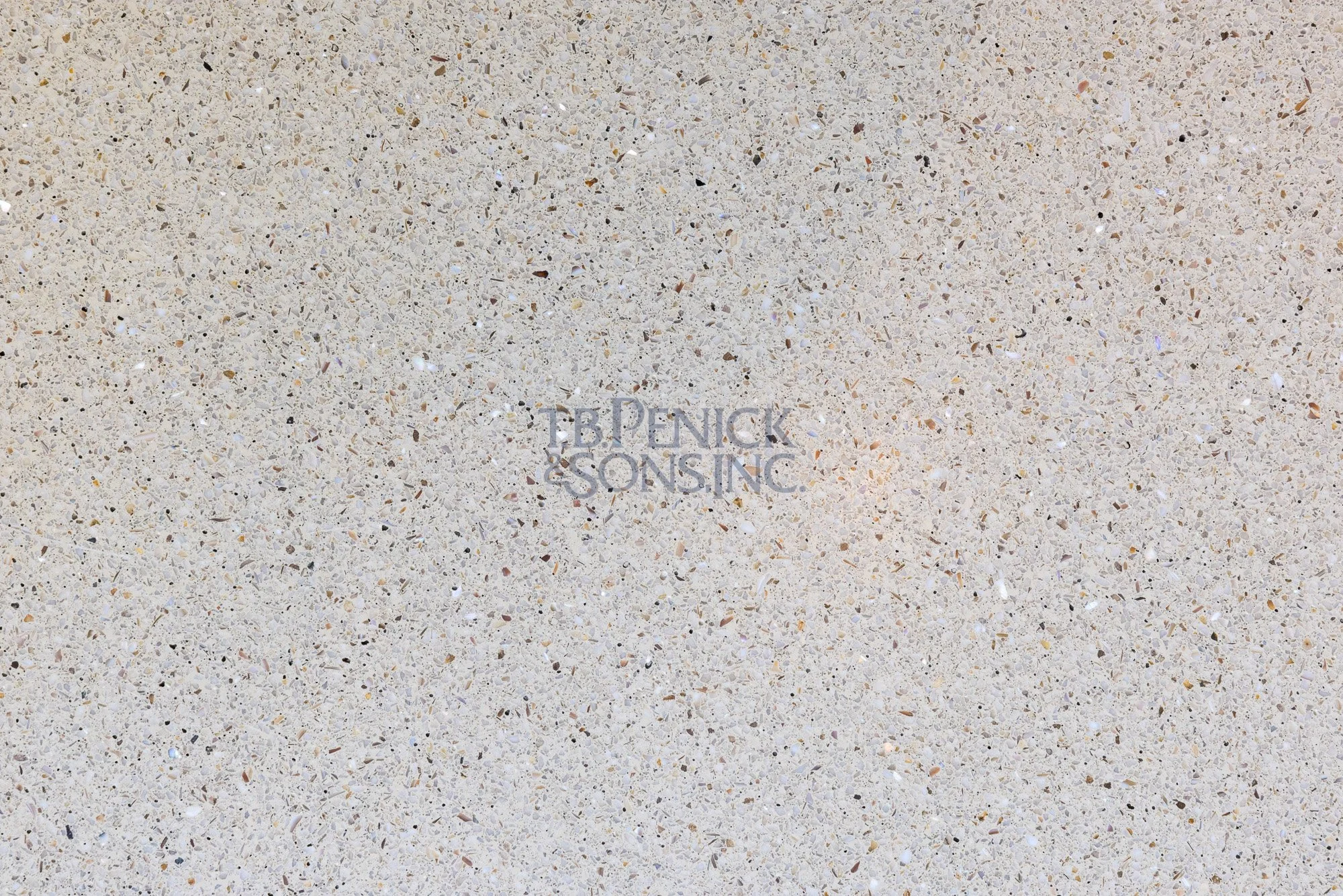 untitled (15 of 25).jpg