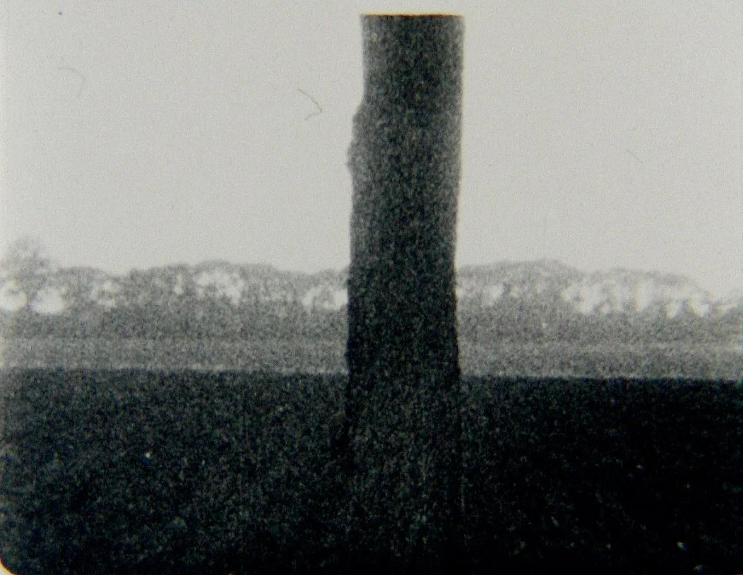 TREELINE.jpg