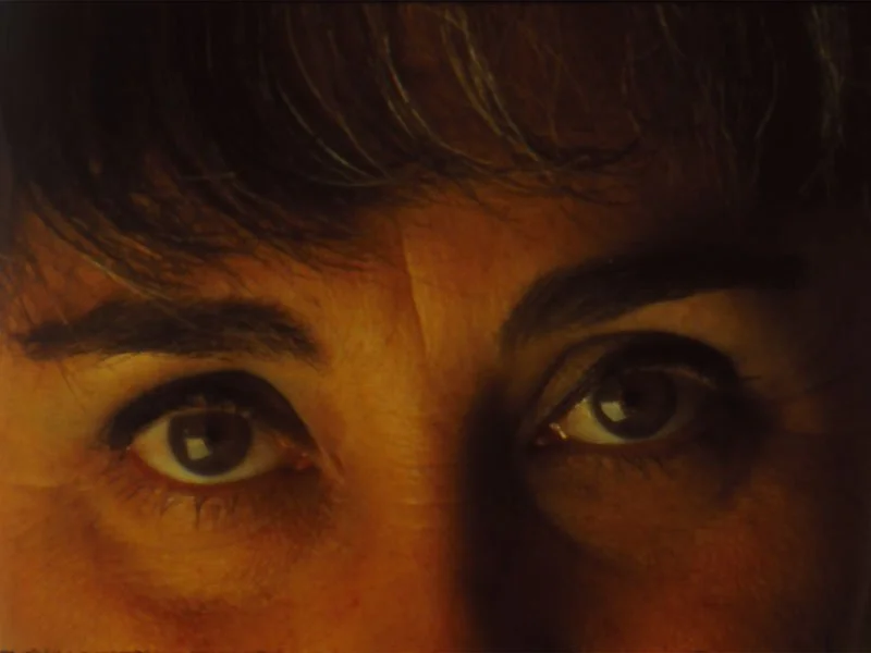 낙하 수업_Falling Lessons_에이미 할펀_Amy Halpern