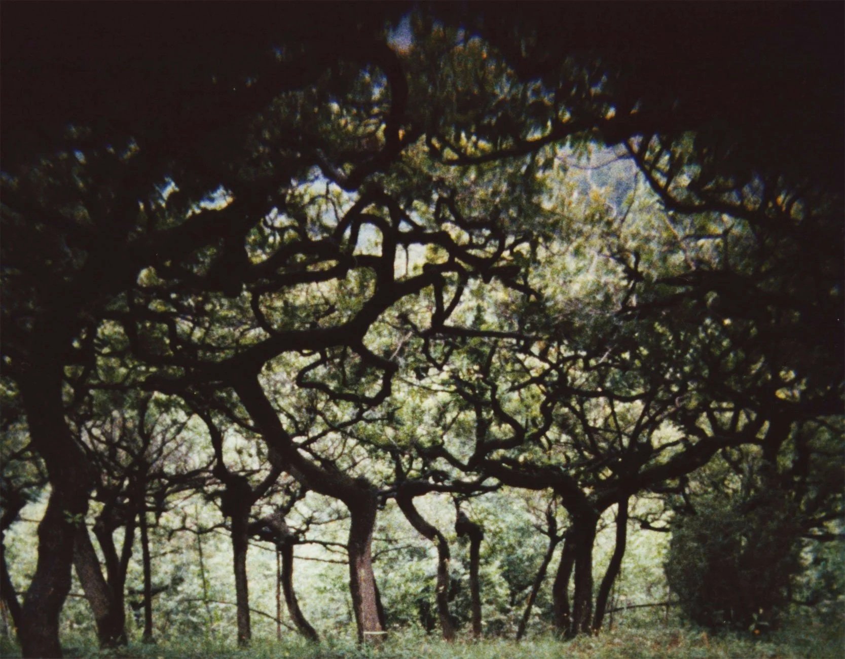 Indi-Visual+4_01_The+Hedge+Theater_3.jpg