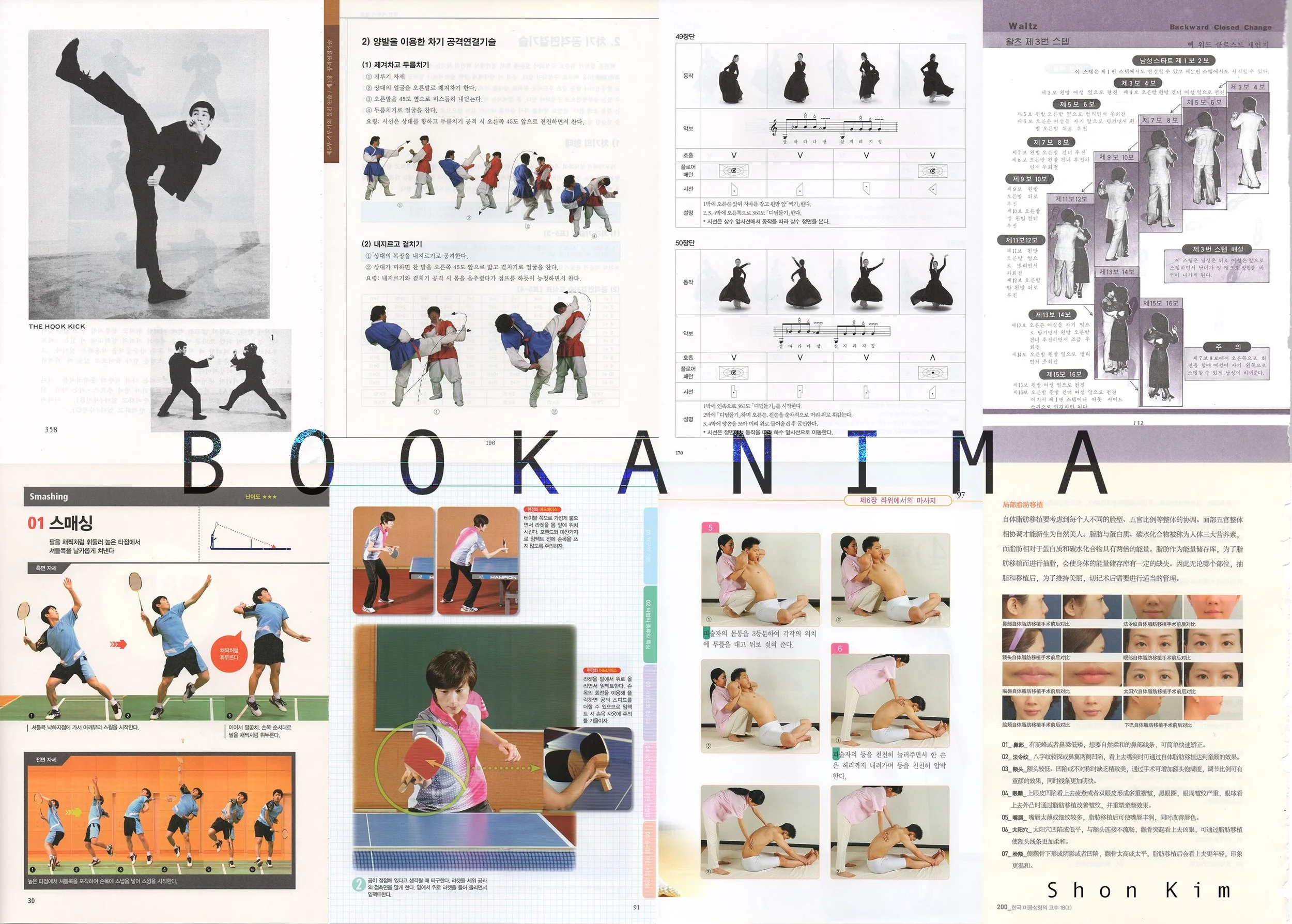 북아니마 : 무술(武術) BOOKANIMA: Martial Arts_김시헌 Kim SHON