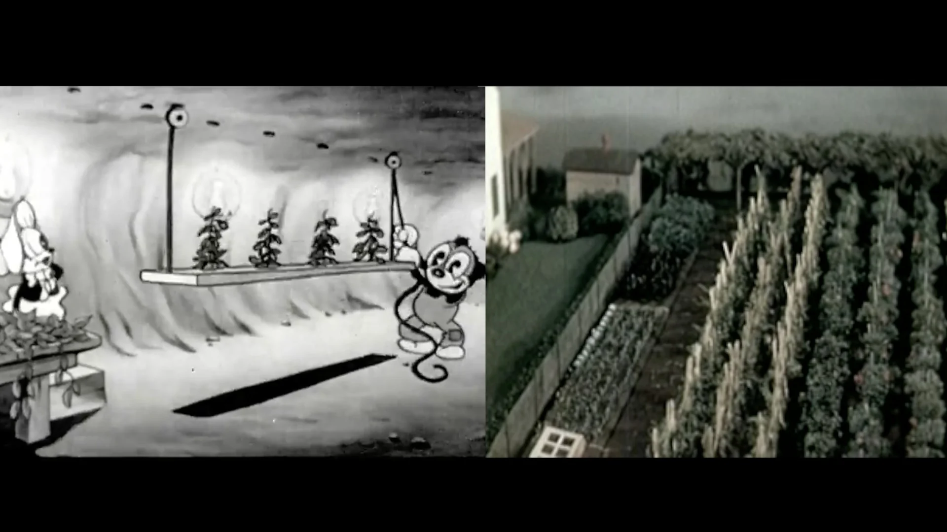 낯선 정원의 찰나 In the Instant of a Foreign Garden_임고은 Im Go-eun