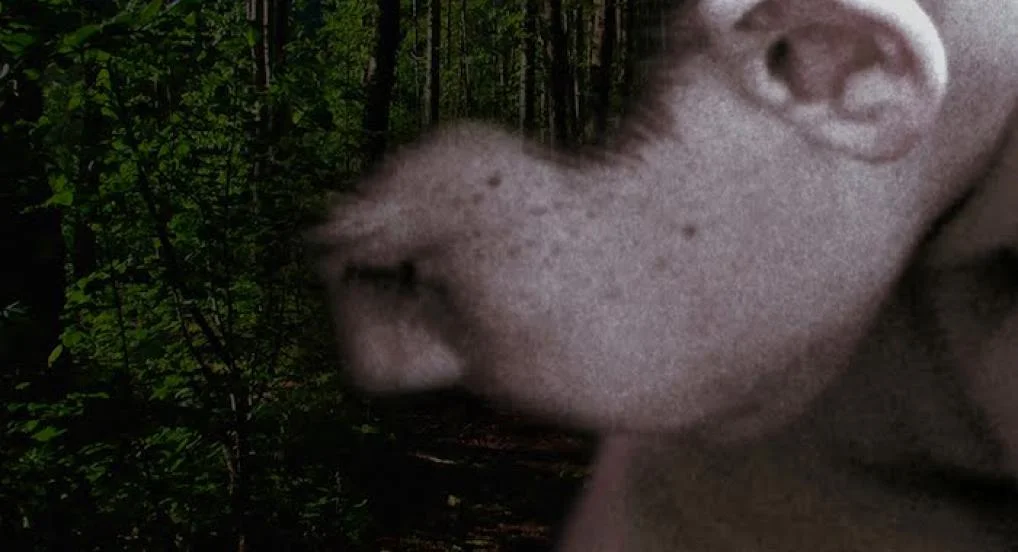 위싱 웰 Wishing Well _실비아 셰델바우어 Sylvia Schedelbauer