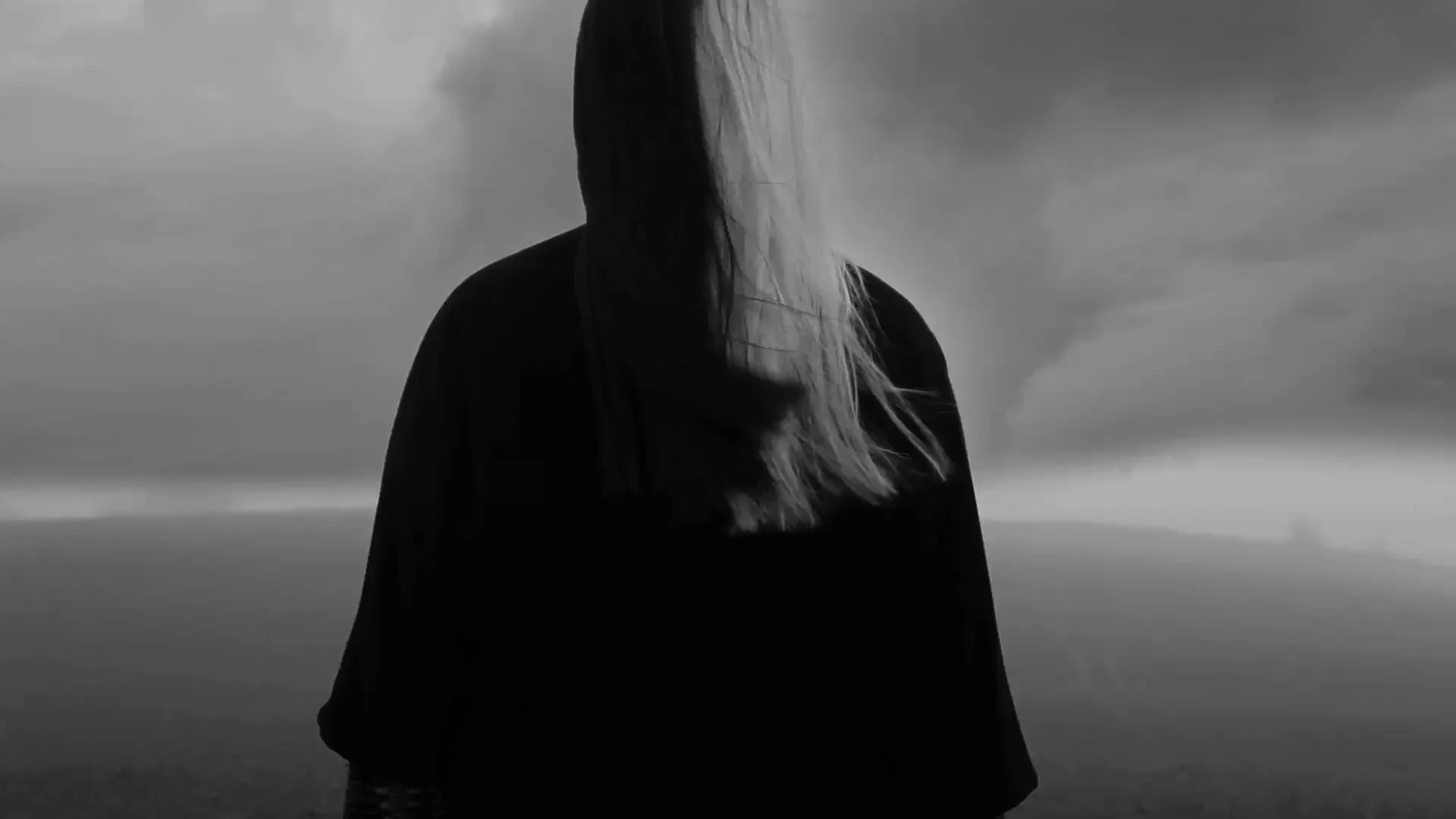 김세진 Kim Sejin : 12개의 의자 The Twelve Chairs