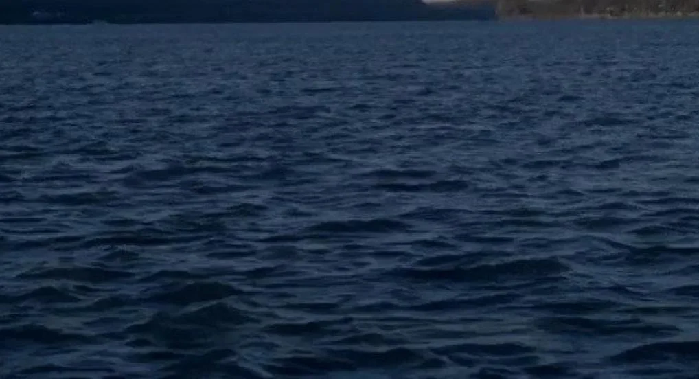 나다니엘 도어스키와 제롬 힐러 Nathaniel Dorsky and Jerome Hiler