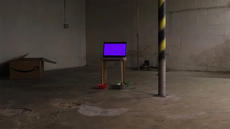 Wherever_Basement.jpg