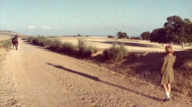 tras-os-montes_-_434_g.jpg