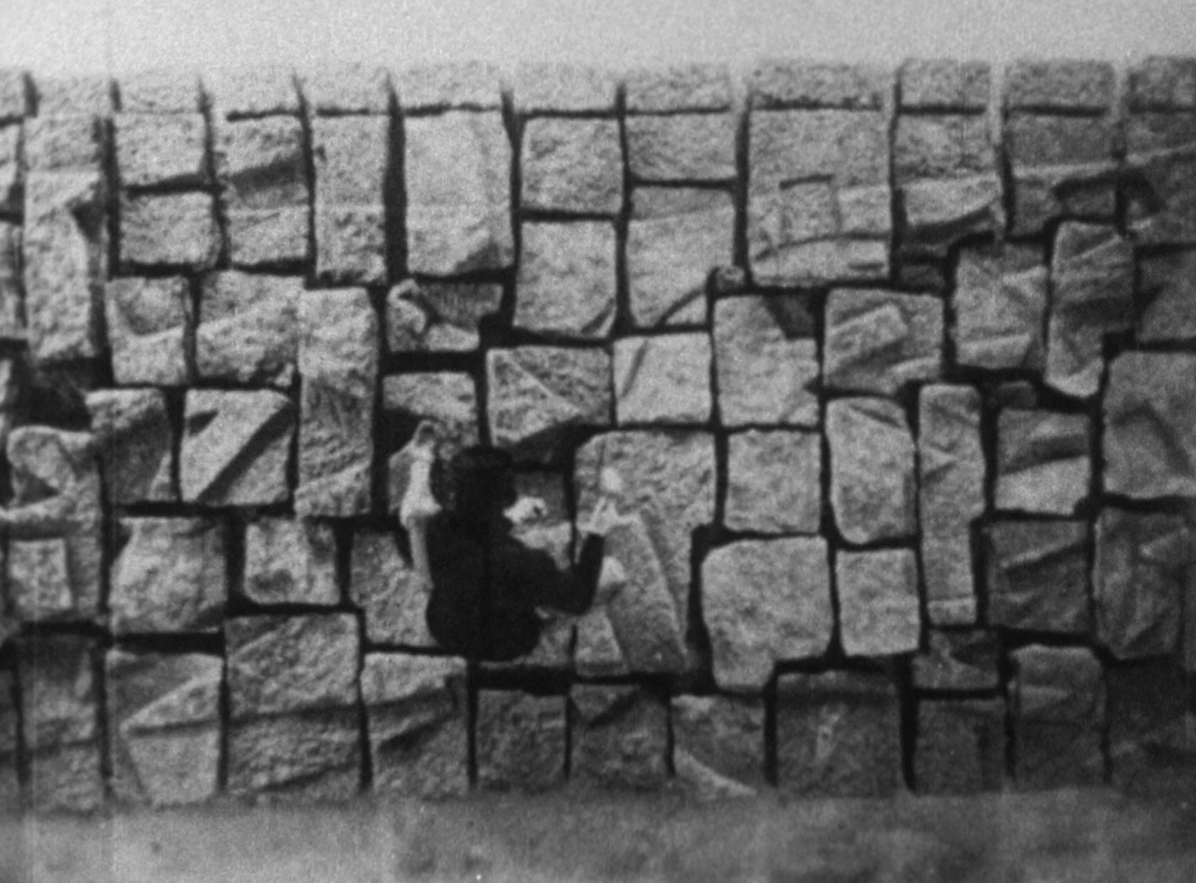 films_toshio-matsumoto.jpg