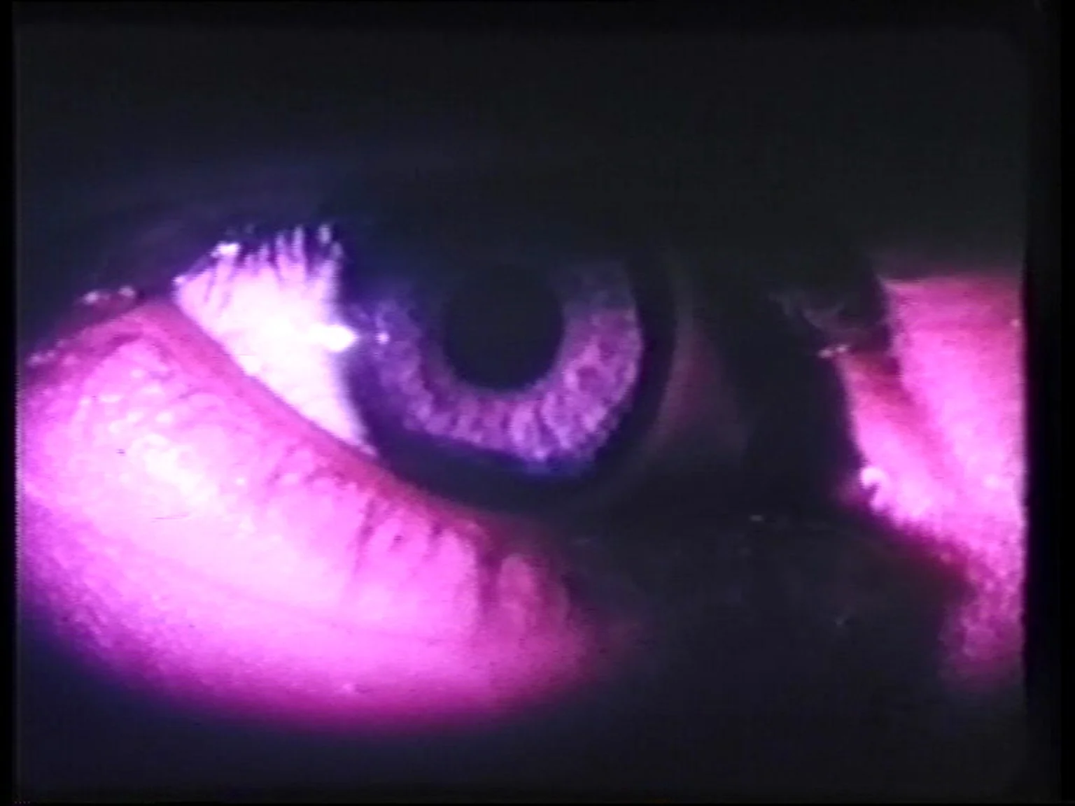 아이즈 Eyes_라젠드라 구르 Rajendra Gour