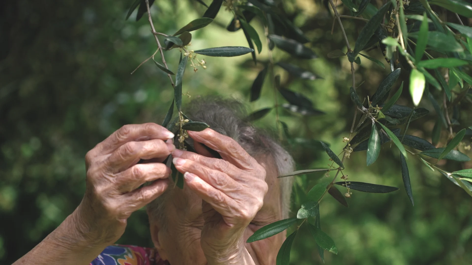 장미도 아닌 데이지도 아닌 Neither Roses, Nor Daisies_임정혜 Yim, Jeunghae