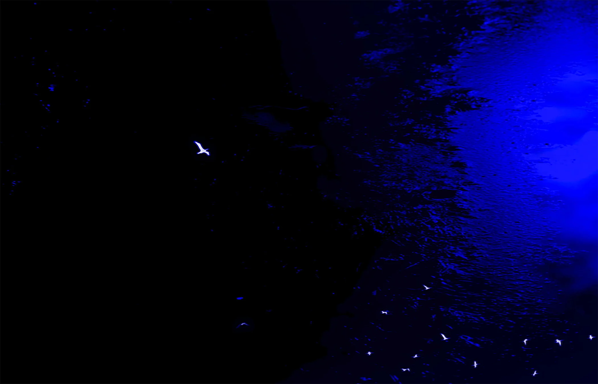 라오메데이아 Laomedeia_문유진 Moon, Youjin 