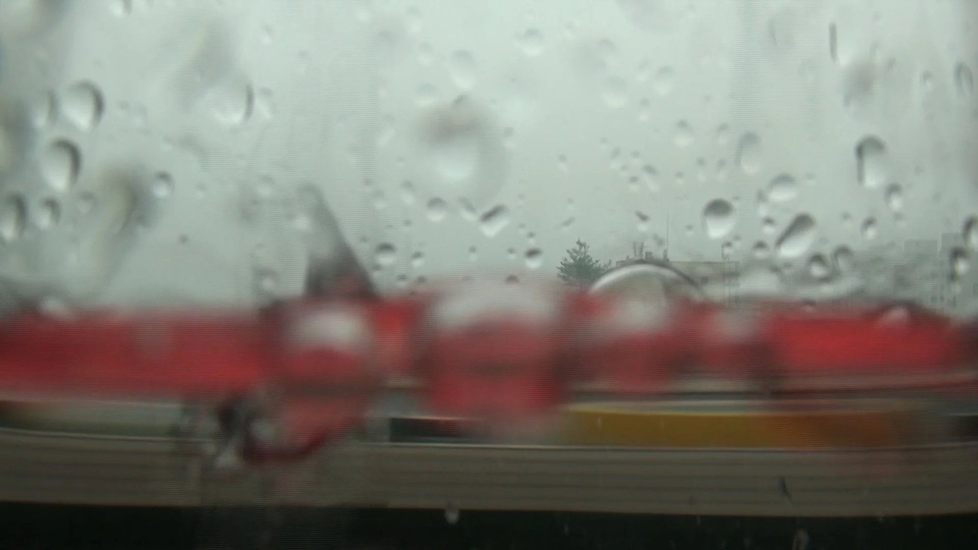 23.976_김연경 Kim, Yeongyoung