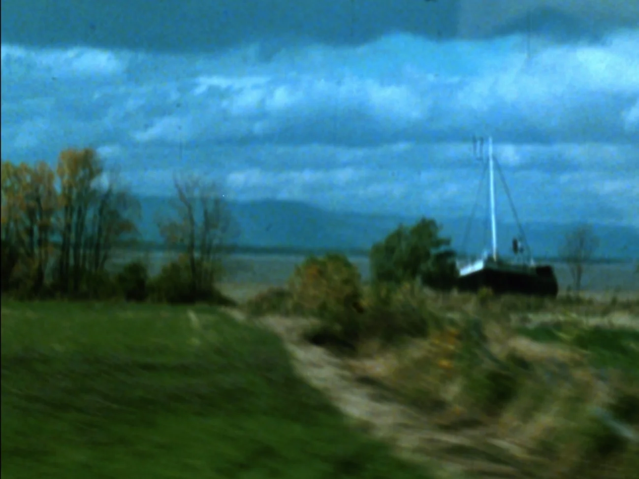 감정보다 이성 La Raison avant la Passion (Reason over Passion)_조이스 윌랜드 Joyce Wieland