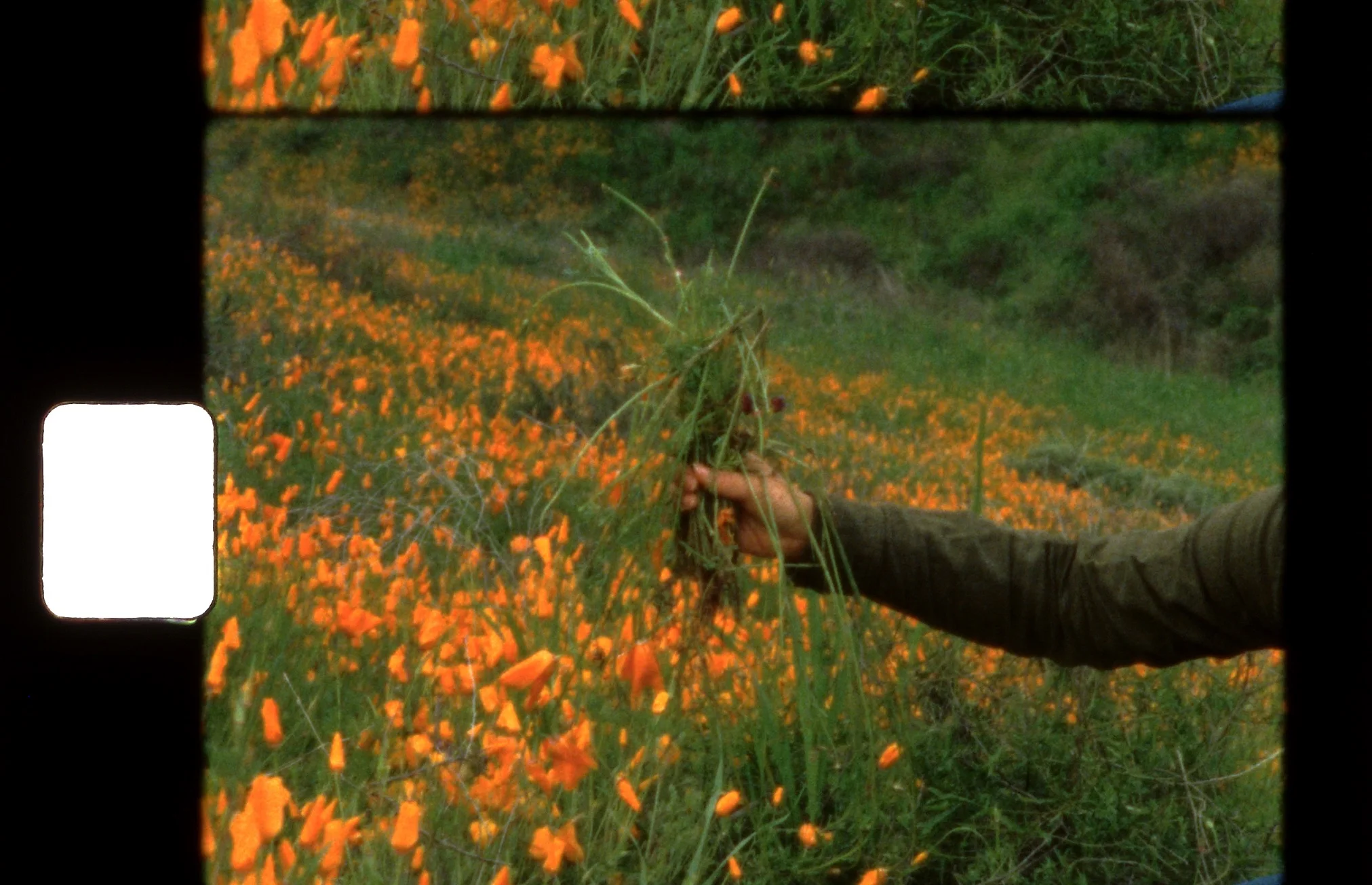 그리고 이제 우리는 다시 시작한다 ...And so we start again_에이 토시나리 &amp; 두이 응구옌 Ei Toshinari &amp; Duy Nguyen