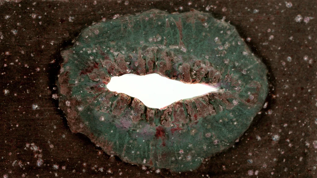 미천한 무신론자의 춤 Dance of a Humble Atheist_도 훈 핑 Toh Hun Ping