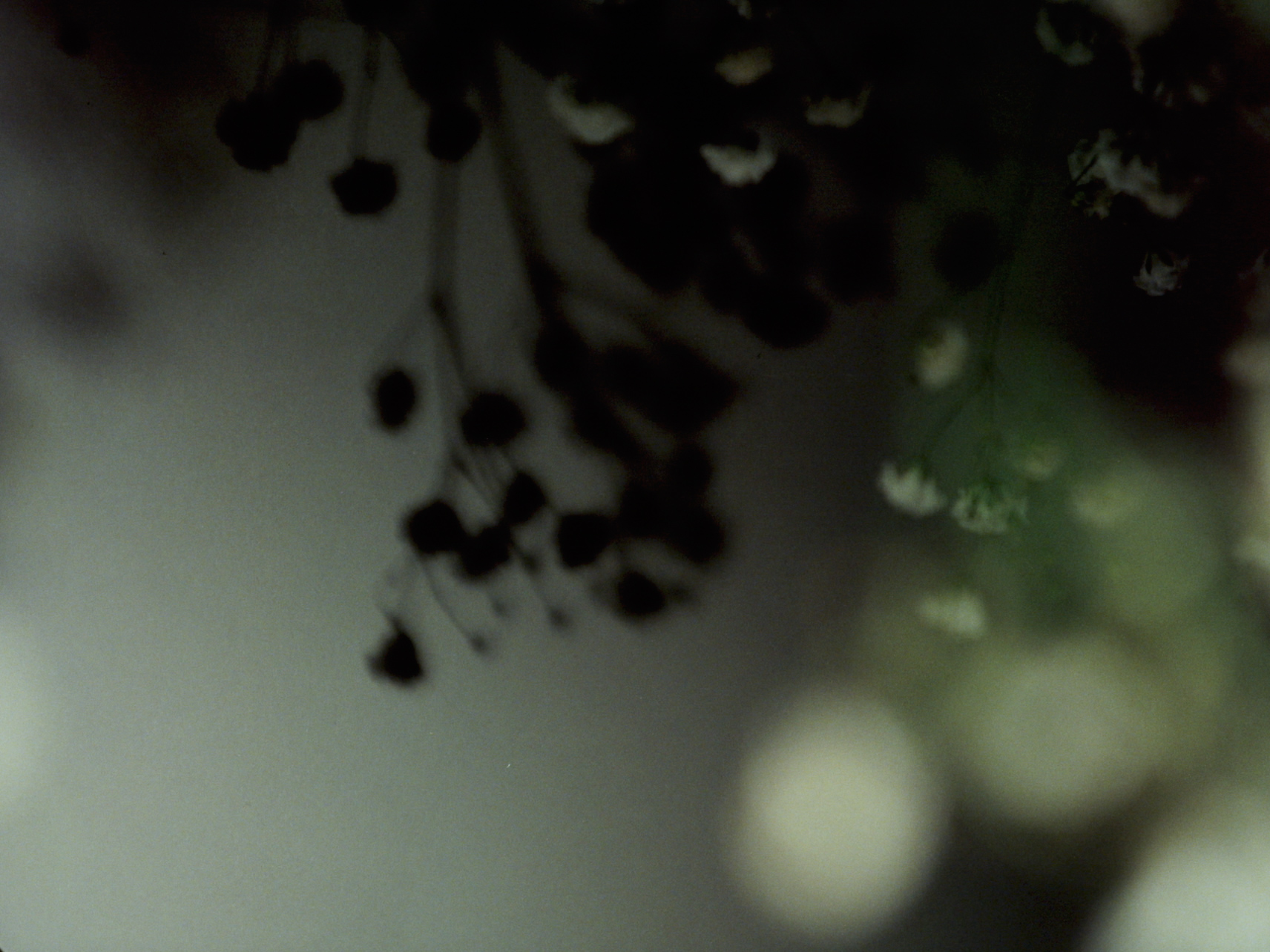 트랜스크립트 Transcript 臨摹_에리카 쉬우 Erica Sheu