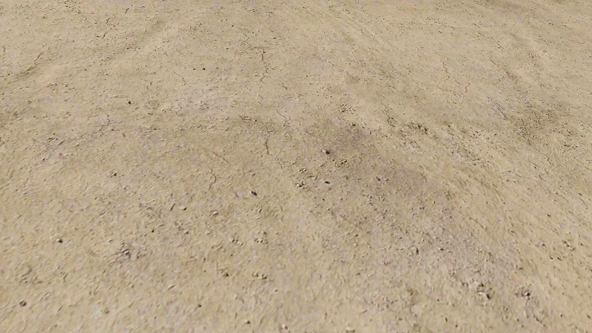 스크린 Screen_크리스토프 지라르드&amp; 마티아스 뮐러 Christoph GIRARDET &amp; Matthias MÜLLER 